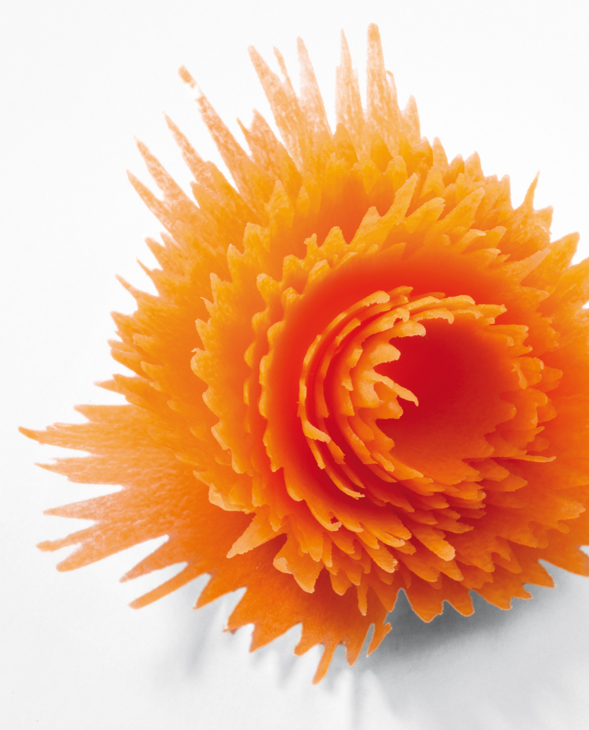 5010335-u4-web